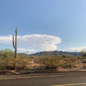 Meet your Posher, Amelia